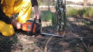 Mulching Services in Hometown, PA