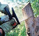 Best Utility Line Clearance  in Hometown, PA