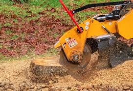 Best Lawn Renovation and Restoration  in Hometown, PA