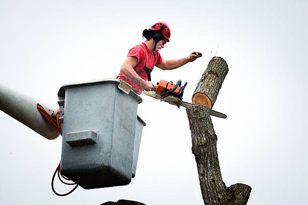 Seasonal Cleanup (Spring/Fall) in Hometown, PA